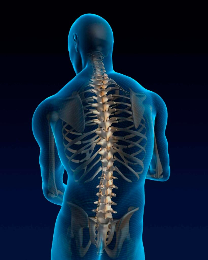 Neurosurgeon vs. Orthopedic Spine Surgeon: What’s the Difference — and Why It Matters